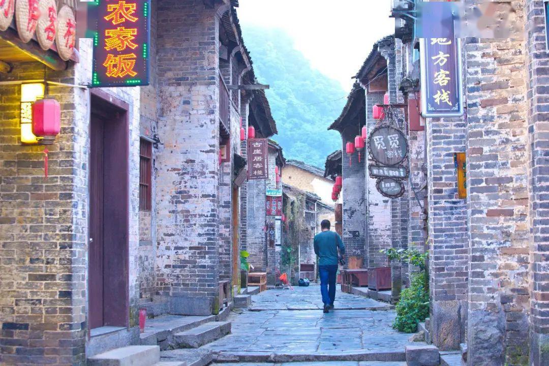 动物帮帮忙保卫家园